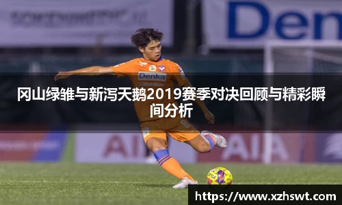 冈山绿雏与新泻天鹅2019赛季对决回顾与精彩瞬间分析
